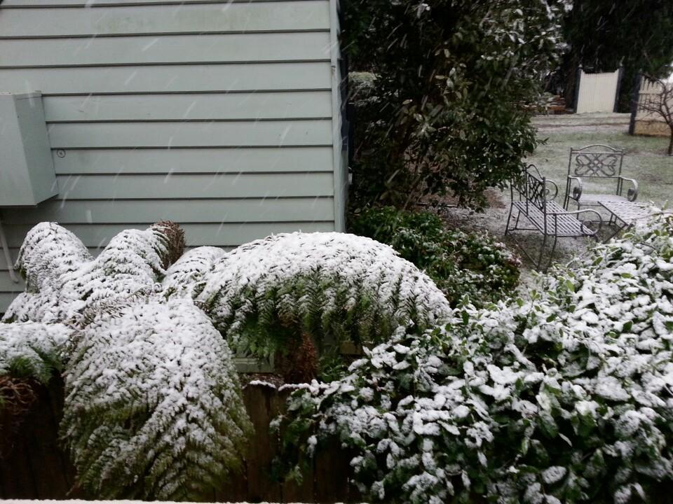 Hotel Avonleigh Katoomba Exterior foto