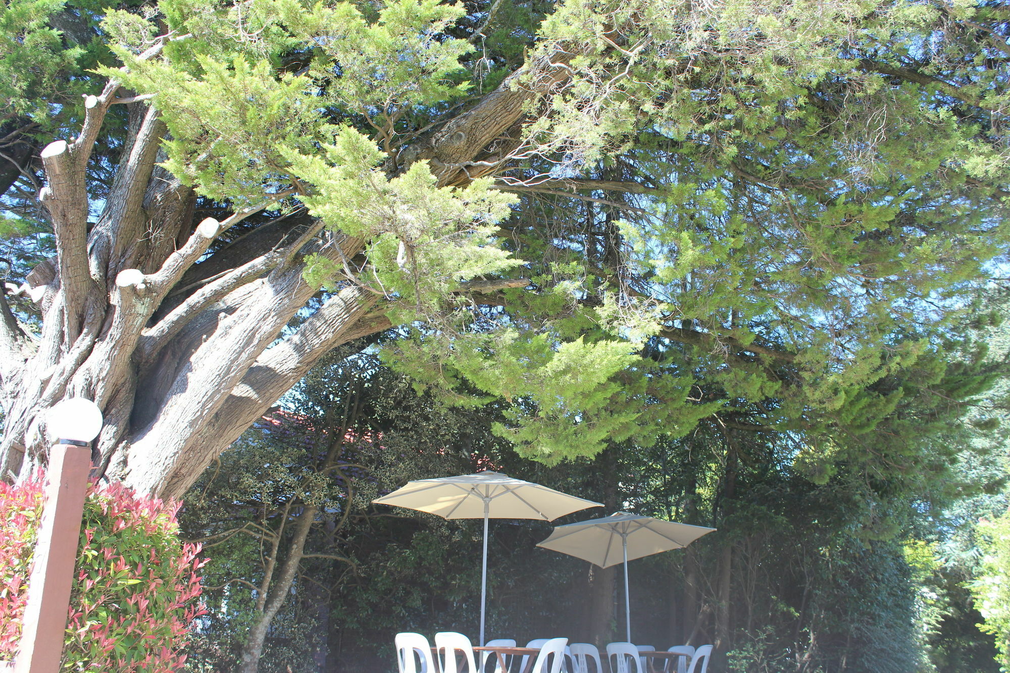 Hotel Avonleigh Katoomba Exterior foto